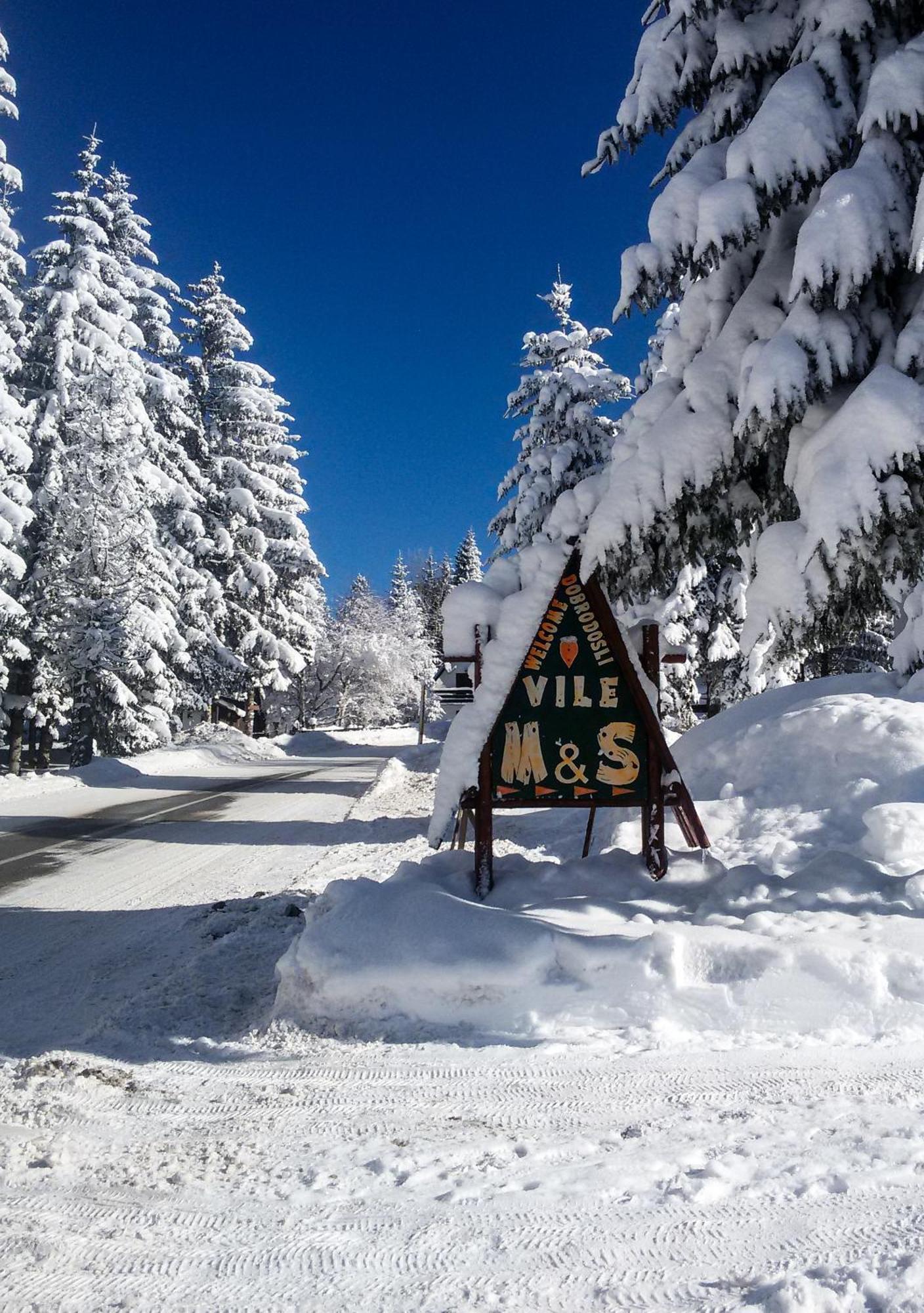 Planinske Vile M&S Kopaonik Ngoại thất bức ảnh